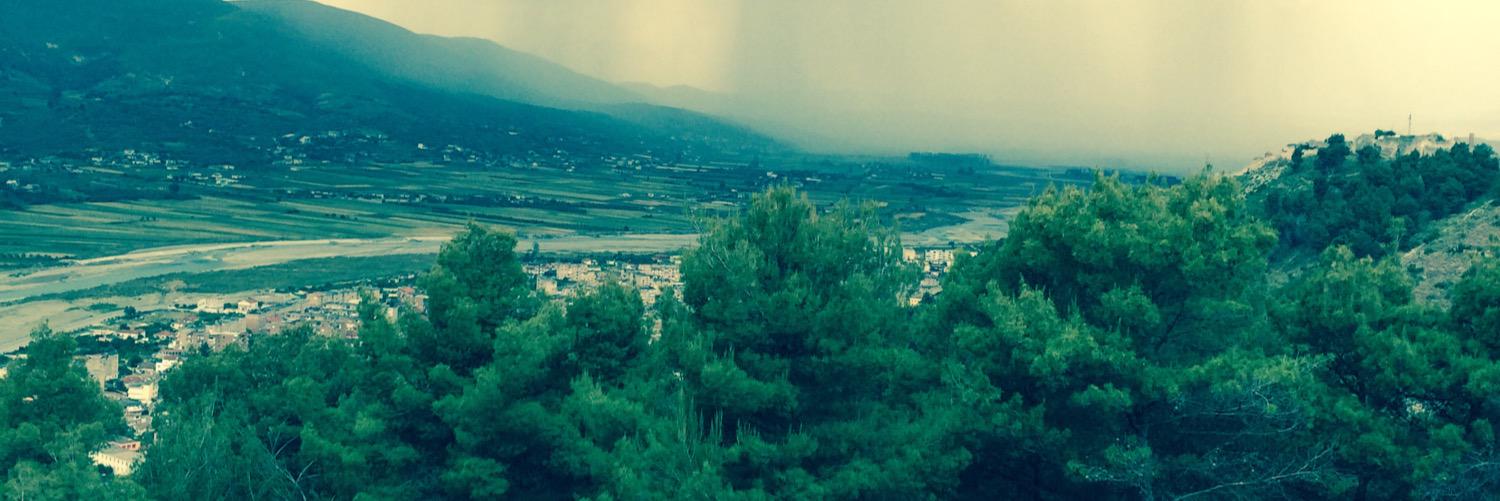 Julio Escarce banner