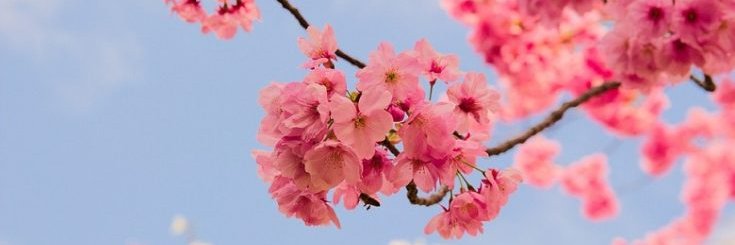 suourinchan's profile banner image