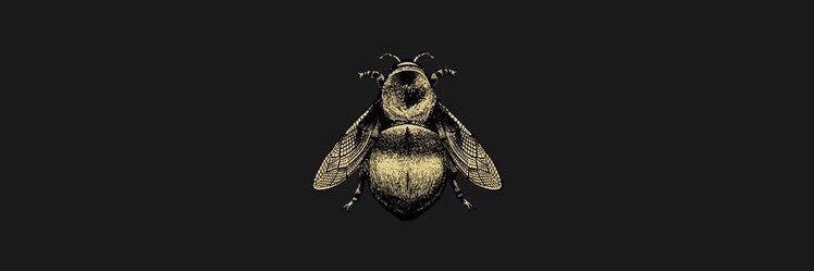 bays_a_bee's profile banner image