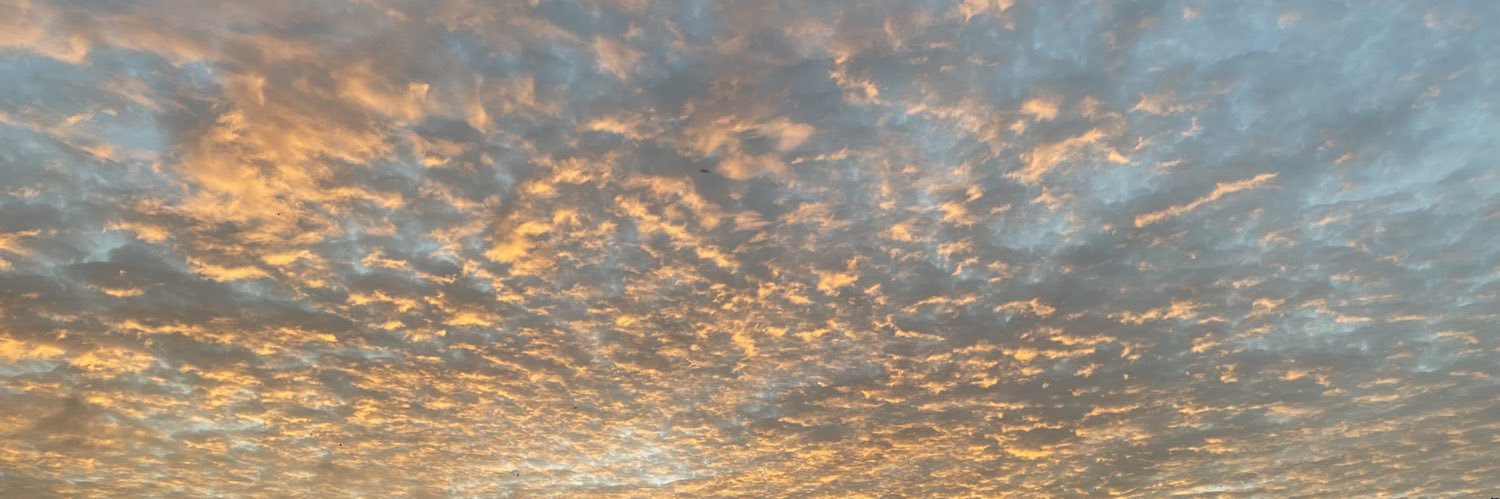 danielleboodoo's profile banner image