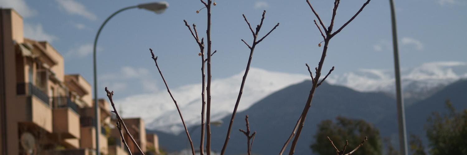 borja_JAA's profile banner image