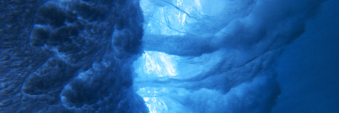 filmcapsule's profile banner image
