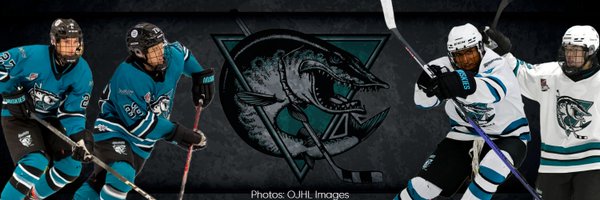 LindsayMuskies Profile Banner