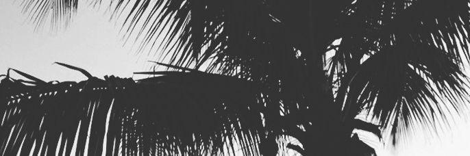 mixedpank's profile banner image