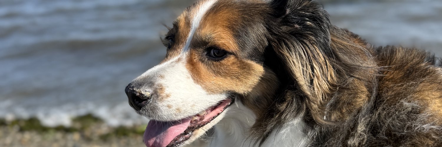 Sportstein's profile banner image