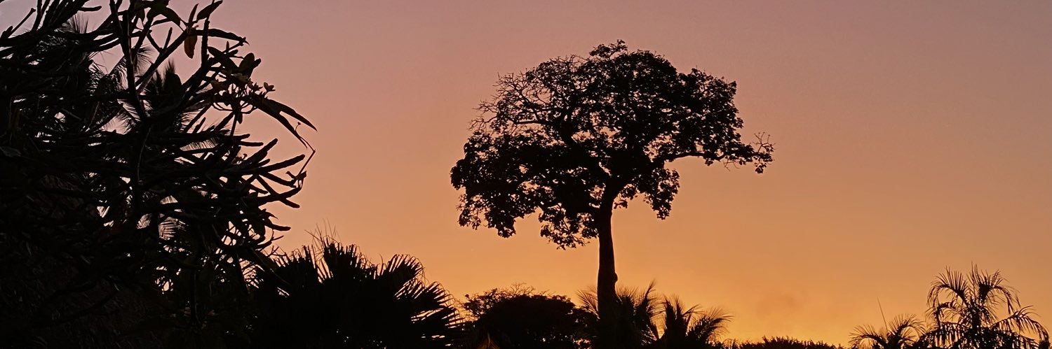 valedeandradee's profile banner image
