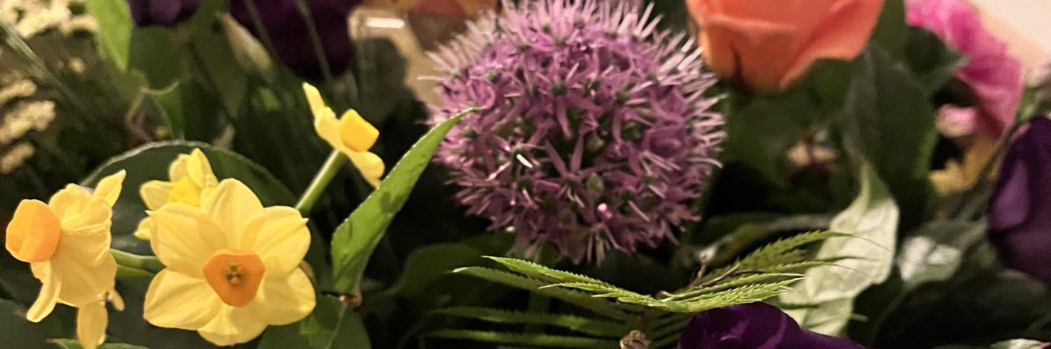 Shazwaite's profile banner image