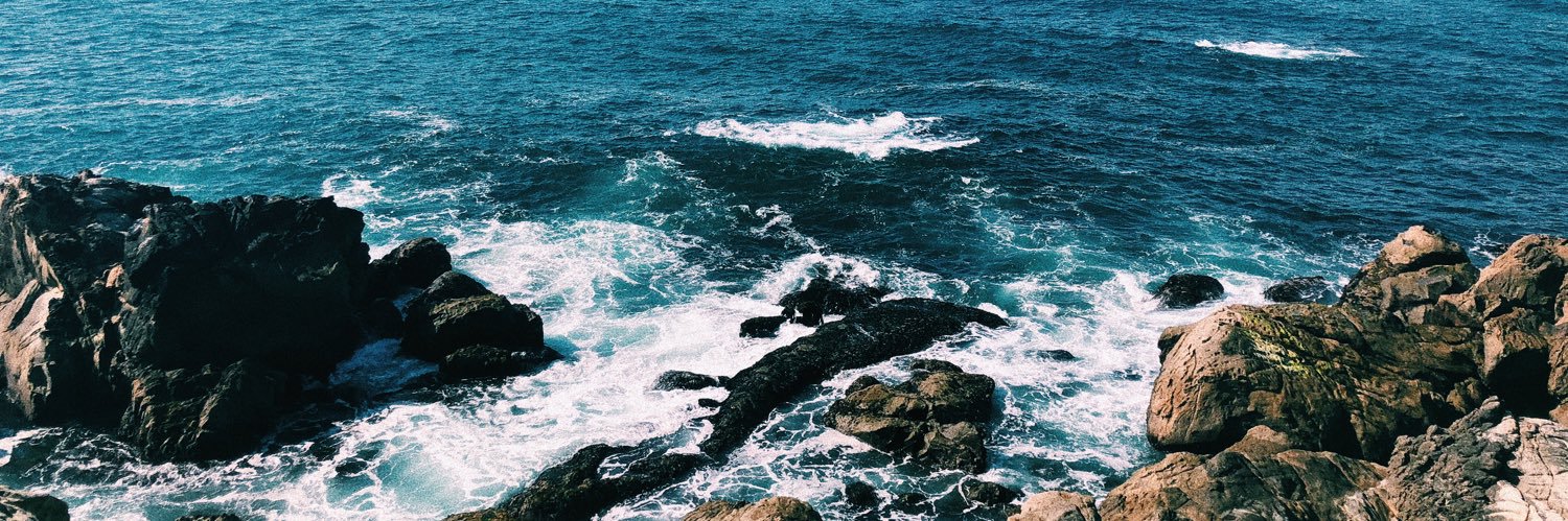 TaylorLexiBrown's profile banner image