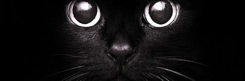 mlkys's profile banner image