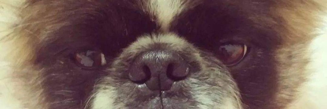 Angelmarkus1's profile banner image