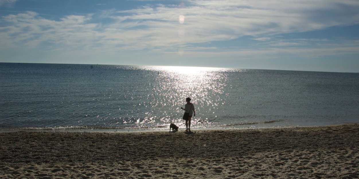 DrewMillington's profile banner image