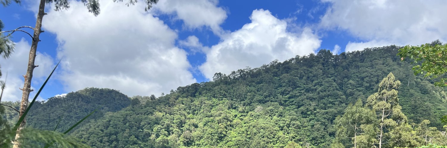 DyanGiuzzelle's profile banner image