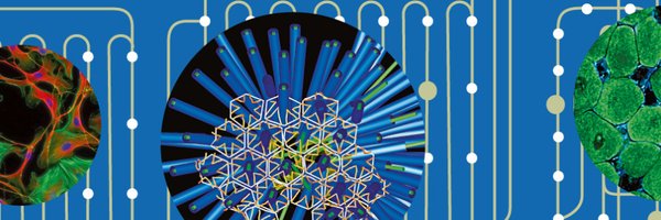ETH_DBIOL Profile Banner