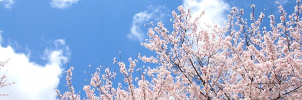shosuz Profile Banner