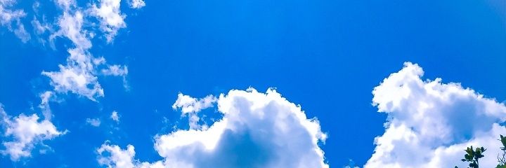 ReneTrejo's profile banner image