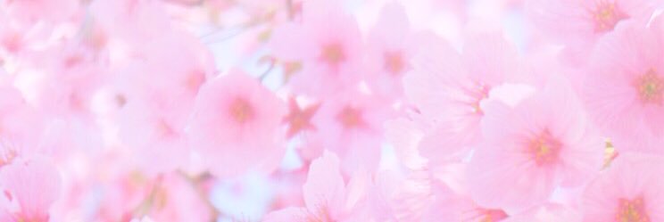 ily_ice_'s profile banner image