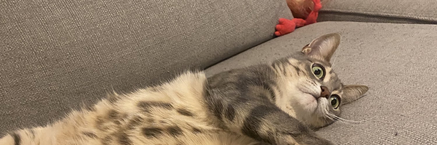 AlexTipping1's profile banner image