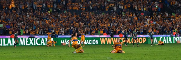 anikaarodriguez Profile Banner