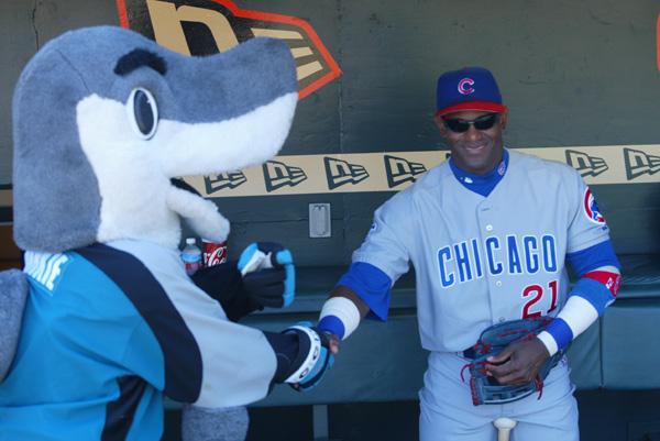 Mark Provenzano banner