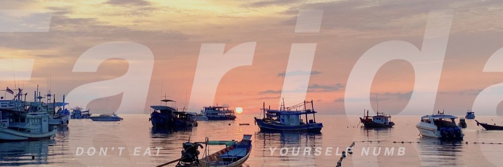 frdsince1994's profile banner image