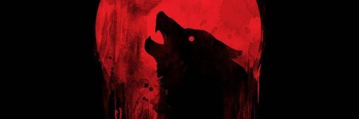 FEARLESS_WULF's profile banner image