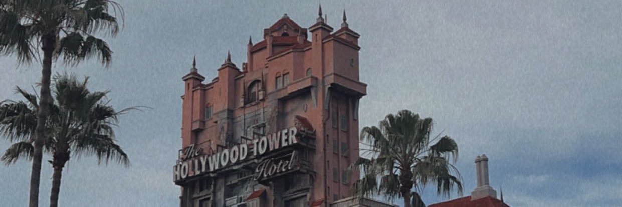 silvanagatto_'s profile banner image