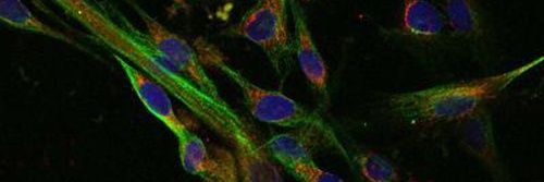 Digvijoy Dinesh Gogoi banner