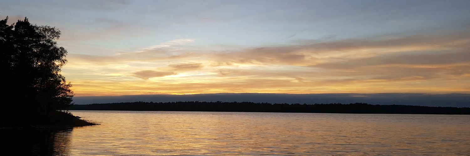green_mane's profile banner image