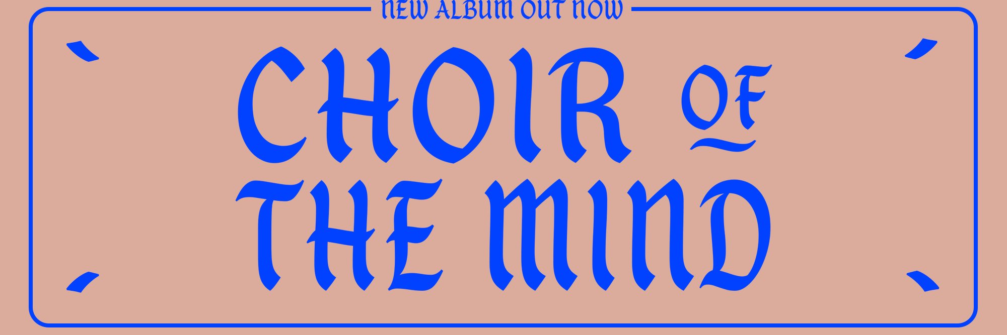 Emily Haines banner