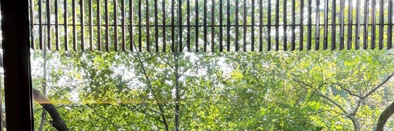 Mskitty24's profile banner image