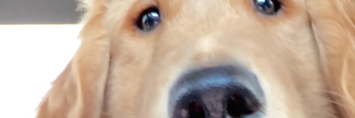 zacfitz81's profile banner image
