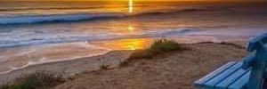 Fred Emiro Nuñez c banner