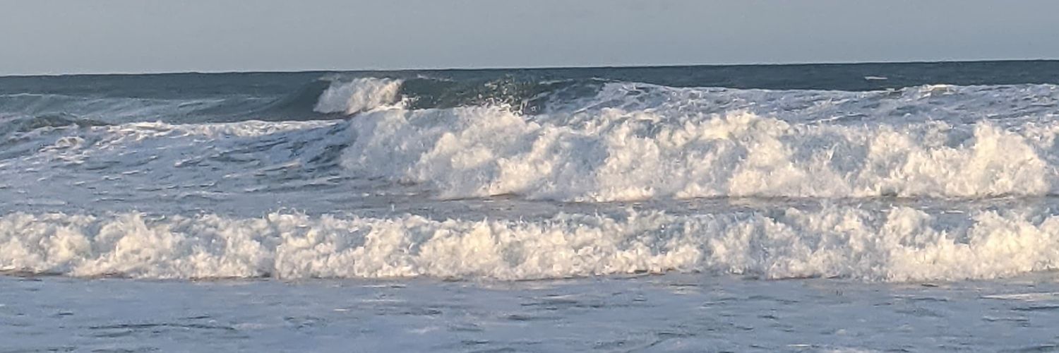 Beedoo- Beedoo banner