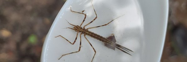 racheldavies110 Profile Banner