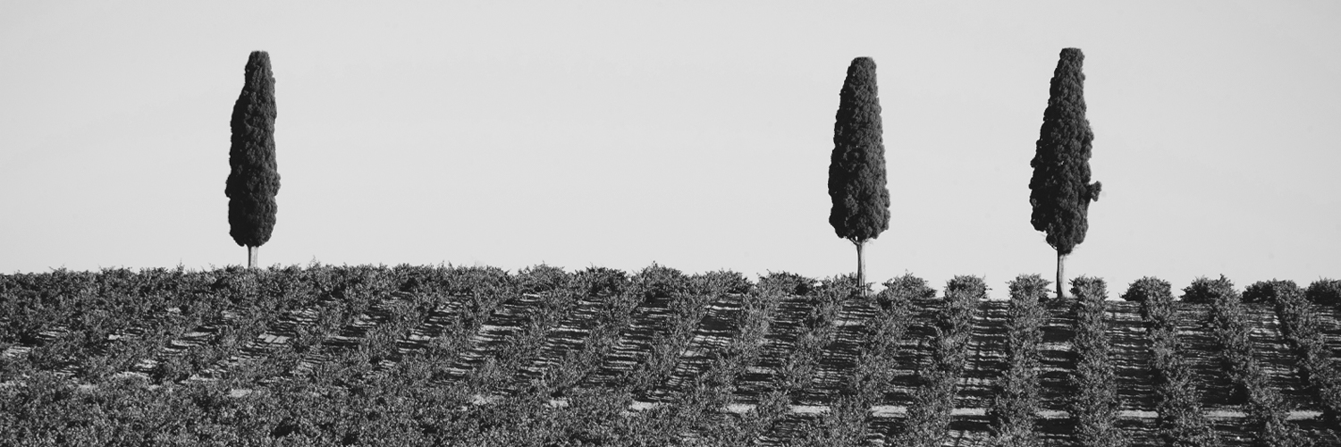 Bodegas Balbás banner