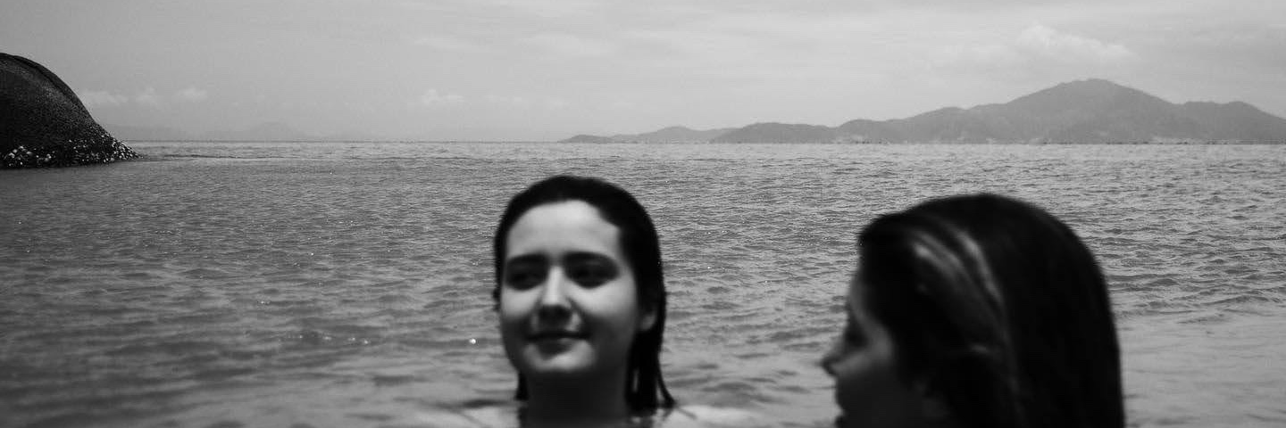V banner
