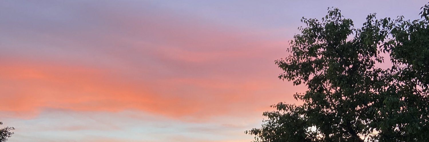 MerrieChristmas🥑 banner