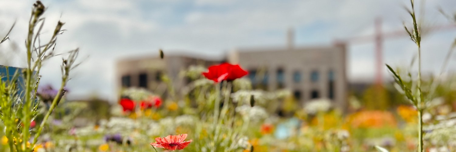 Yaning 亚凝 (she/her) banner