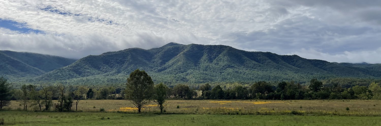 𝘾𝙃𝘼𝙎 𝙋𝙄𝙀𝙍𝘾𝙀 banner