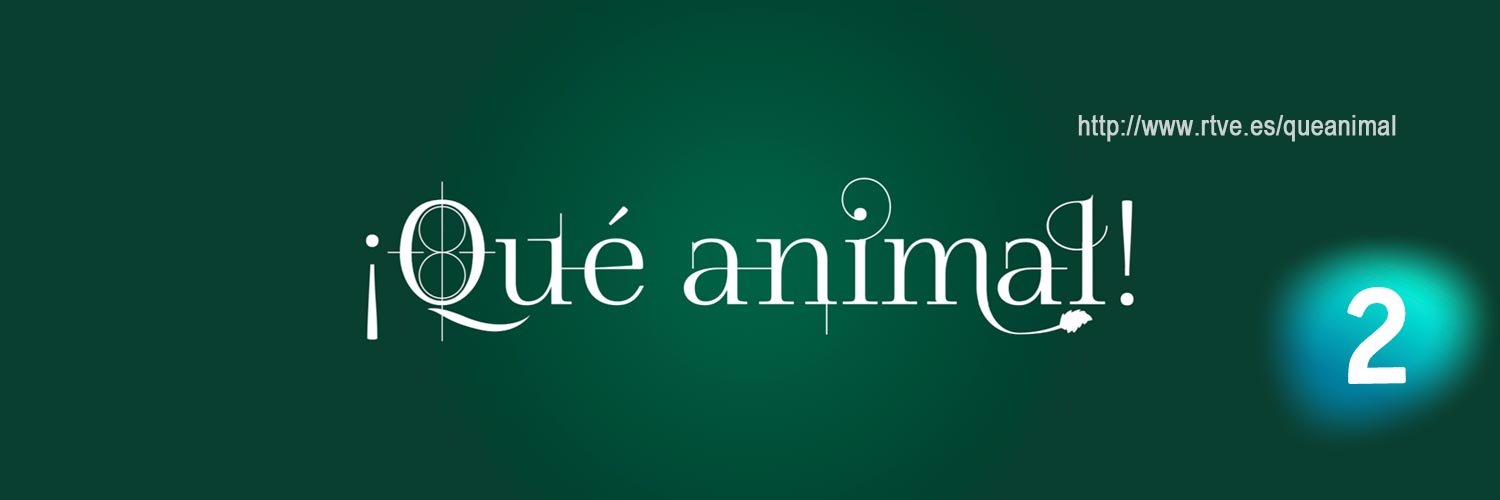 ¡Qué Animal! banner