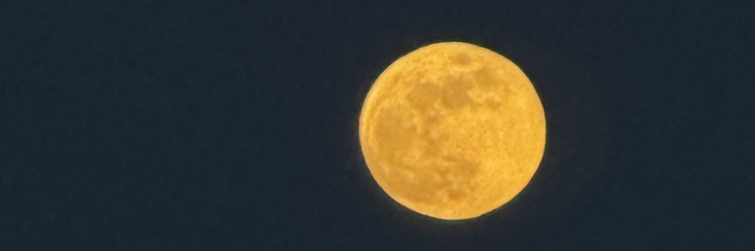 fercast1999's profile banner image