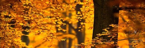 _kawa_3's profile banner image