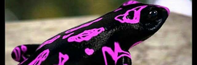 HsM_Ale's profile banner image