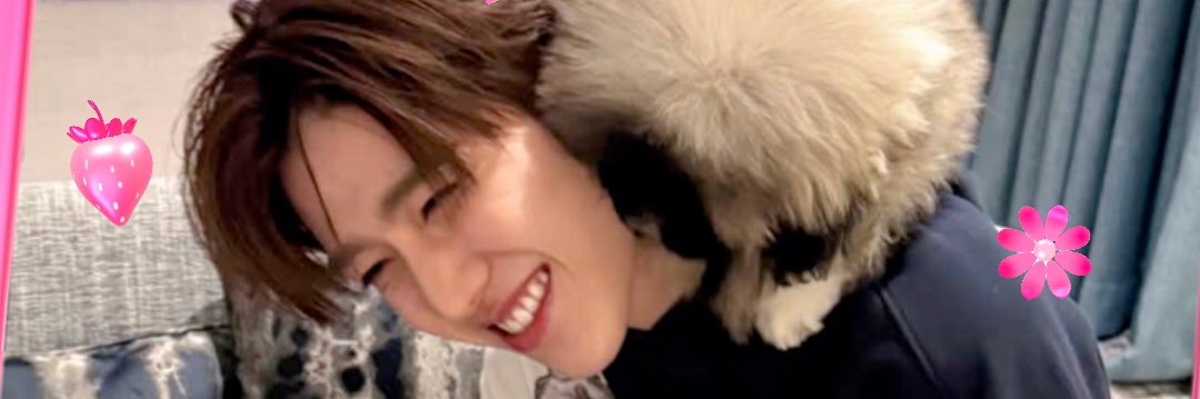 🝮bp🝮 banner