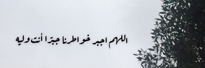 🇸🇦Ali Abdullah banner