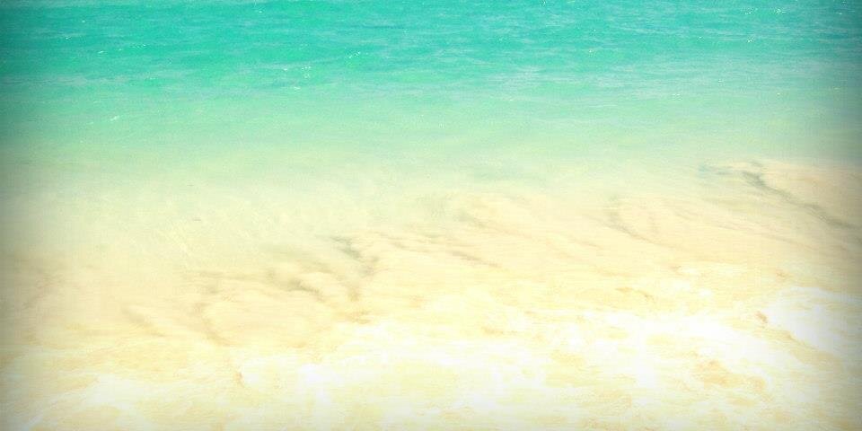 roibichian's profile banner image