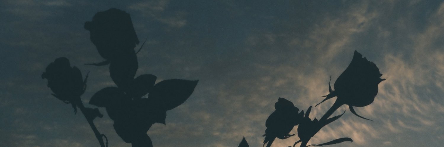 MadsDana's profile banner image