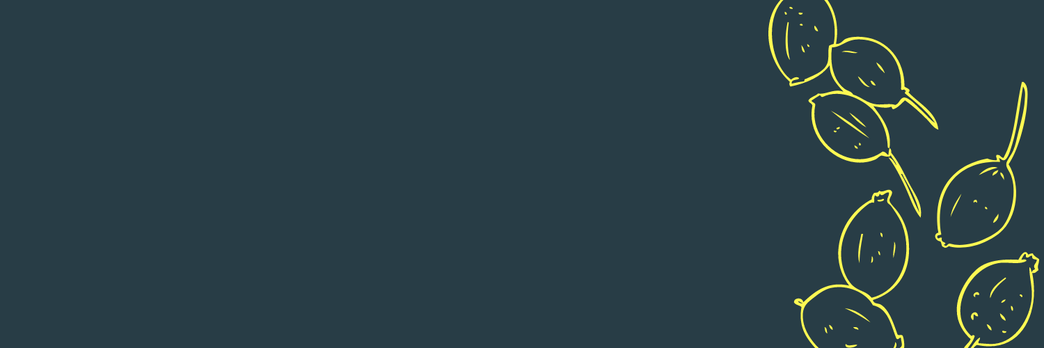 Welsh Gin Club banner