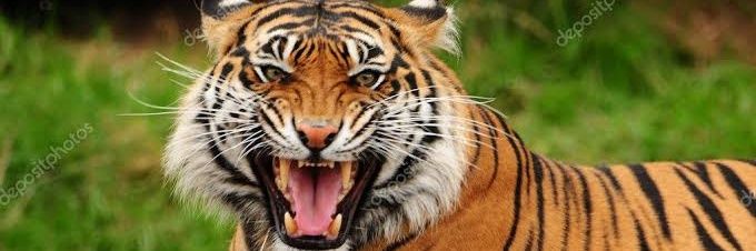 Common man 💯%🚶‍♂️🔙 banner