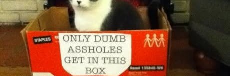 DumbView's profile banner image